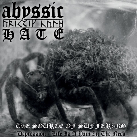 Abyssic Hate - The Source of Suffering (CD)